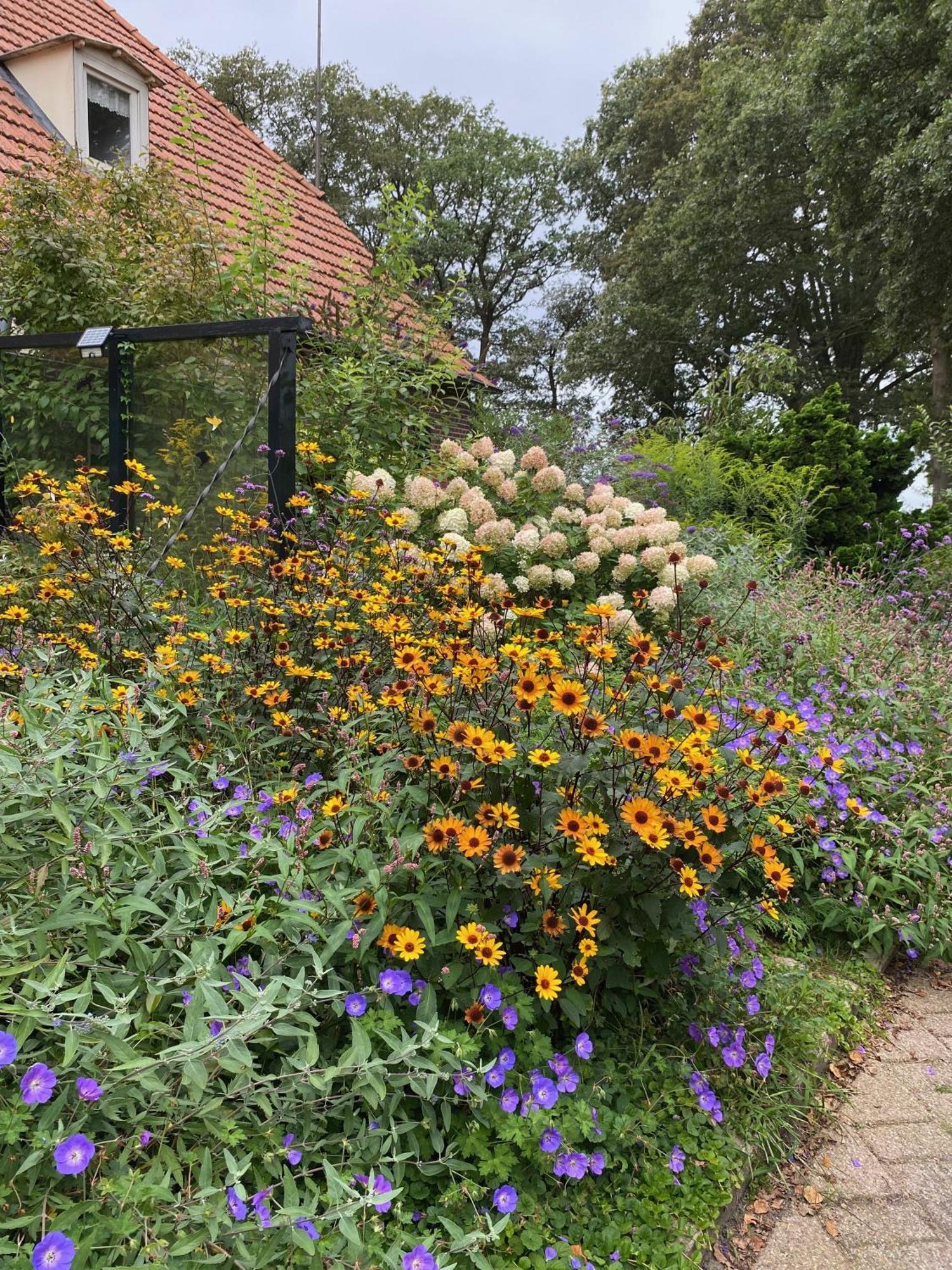Bed and Breakfast De Viersprong à Laren  Extérieur photo